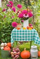 Summer arrangements in country garden; jug of perennials includes Dahlias, Echinacea purpurea, Persicaria 'Fitetail'. Cherry tomatoes. Colander of apples. Squash. Tomatoes.