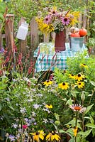Jug of perennials and bucket of harvested vegetables on the table in country summer garden. Echinacea purpurea, Persicaria 'Firetail', Solidago, Eupatorium, wild parsley. Perennial border includes Echinacea purpurea, Persicaria 'Firetail', Kalimeris incisa, Rudbeckia triloba.