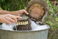 Brushing away the dirt in soapy water