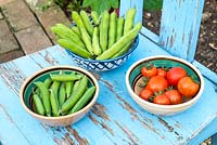 Small bowls containing freshly harvested summer vegetables, Peas 'kelvedon wonder', Broad Beans 'Greeny' and various tomato varieties.