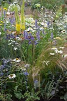 A space to Connect and Grow. Mixed planting including veronica, echinacea, achillea 'terracotta', echinops, eremurus stenophyllis, carex and eryngium. Designer: Jeni Cairns and Sophie Antonelli - Sponsor: Metal, Earls Scaffolding, British Sugar
