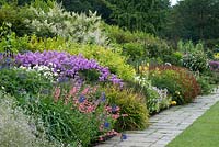 Long deep perennial border with a variety of perennials at successive heights. Tapestry of colours. Penstemon, Persicaria, Anemone, Kniphofia, Calamagrostis and Phlox paniculata 'Nesperis'. August, Surrey