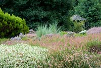 Mass planting of Erica carnea and Calluna vulgaris in tapestry colours mimicing moorland. Holly bush and garden bulding. National Collection of Heathers. August, Surrey