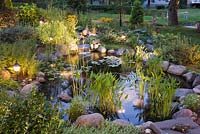 Pond at dusk with heart shaped pontederia cordata - pickerel weed and Nymphaea - water lilies in a backyard garden in summer, Laurentians, Quebec, Canada