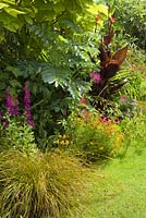 The Hot Border, with plants including Lobelia 'Hadspen Purple', Melianthus major, a dark-leafed Canna and a golden-leaved Catalpa. Lincolnshire. August 2014. Summer.