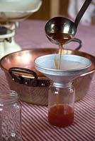 Making rosehip jam. Ladle the hot jelly into sterilised jars