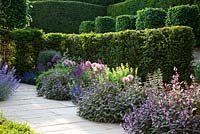 Courtyard Garden with clipped Yew hedges, Taxus, Pleached Hornbeams, Carpinus Betula and Herbaceous borders in Summer, Alliums, Salvia, Veronica