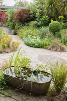 A small galvanised bath used as a water garden with Juncus effusus f. spiralis, the corkscrew rush, and pygmy water lily in a courtyard garden planted largely for foliage interest. Plain paving is broken up by a lozenge shape of inset cobbles. 