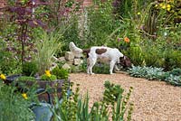 Female dog sniffing around a gravel garden, looking for a place to foul