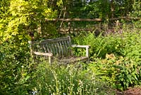 Wooden bench amongst ferns and Melica uniflora var albida in woodland garden