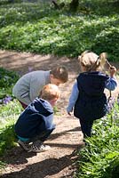 Children playing in spring bluebell woodland