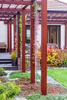 Wooden pergola with plant support chains and Cotoneaster 'Streib's Findling' as groundcover