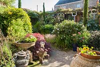 A courtyard garden features reclaimed and salvaged objects amongst strongly shaped plants including clipped lonicera, cardoons, tall thin conifers, acers and lots of roses. 