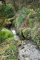 A stream running through a country garden. 