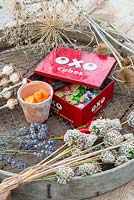 Autumnal still ife with decorative seed heads lavender, old Oxo tin with seeds in an antique garden sieve,