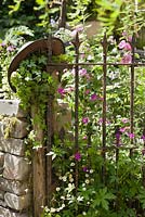 Rustic metal gate, The Forgotten Folly