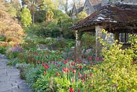 Spring border around 16th Century manor house with Tulipa 'Red Shine', Honesty, Myosotis - Forget Me Not