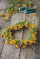 Finished Pyracantha wreath with materials in background. 