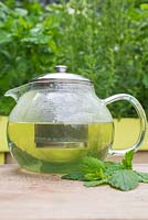 Lemon balm leaf strips infusing within teapot.