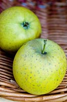 Ananas Reinette apple, an attractive small yellow apple, with a pineapple-like flavour.