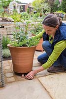 Adding pot feet to newly planted container