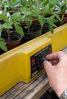 Gardener adjusting thermostat on an electric propagator