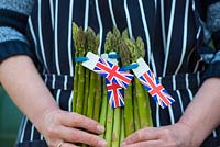 Female cook holding freshly cut UK grown, Asparagus spears