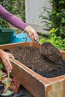 Adding layer of potting compost and gravel mix. 