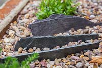 Decorative slate stones in container of mixed alpines 