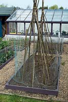 Small raised bed in springtime covered in wire netting and sticks to prevent cat fouling.