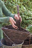 Filling basket with compost