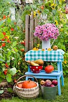 Displays of jug of asters and harvested fruits and vegetables, pears 'Abate Fetel', pumpkin 'Hokkaido' and wide variety of apples.