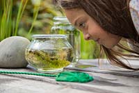 Young girl pond dipping in her garden. Looking at netted pond life