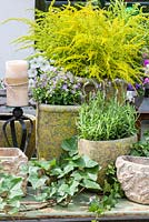 Arrangement of ornamental stone flower pots and iron candle holder, Exacum affine, Hedera helix, Lavandula, Solidago