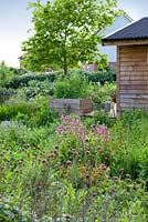 Gabriel's Garden, Norfolk. May. View of studio surrounded by cutting garden and herbs in raised beds.