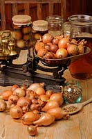 Rustic Country kitchen scene with home made jars of pickled onions, vinegar, pickling onions, pickling spice and traditional kitchen scales