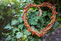 Heart shaped wreath with Rose hips from Rosa 'Treasure Trove'.