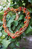 Heart shaped wreath with rose hips from rosa 'Treasure Trove'.