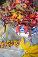 Autumnal floral display of euonymus - spindle with foliage, rose hips and hedera - ivy in a blue and white bowl. 