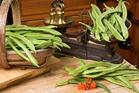 Home grown runner beans in a traditional country kitchen, with rustic scales