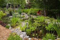 Pond with Typha minima in the foreground, Typha latifolia on the right, Pondeteria cordata, Nymphaea and Gold fish in backyard garden in summer, Iris x pseudata 'Aching Tongue' next to the rocks on the left in the middle. Under the Apple Trees garden, Canada. 
