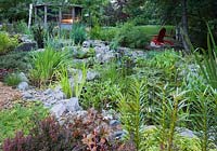 Pond with Typha minima in the foreground, Typha latifolia on the right,  Pondeteria cordata, Nymphaea in backyard garden in summer at dusk, Under the Apple Trees garden, Canada