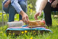 Hands of a man and woman reaching for picnic sandwich, within an allotment plot