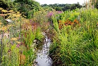 Wild Life Garden and stream, Pensthorpe 