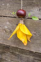 Conker Fairy. Materials used are Aesculus hippocastanum - Conkers, Jute twine, autumnal leaves and a Prunus cutting. 