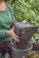 Placing basket in a bucket to add support whilst planting up.