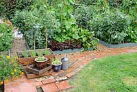 Rustic relaimed brick path bordering small raised bed vegetable plot, Norfolk, England, July