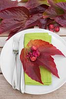 Table place setting decoration with parthenocissus, crab apples and hydrangea flowers