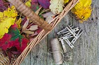 Wicker basket container mixture of autumnal leaves, aged pegs and string. 