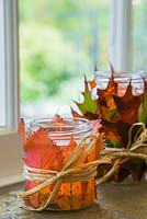 Autumnal Quercus rubra and Prunus leaves used to decorate a candle jars, held in place by Raffia palm.